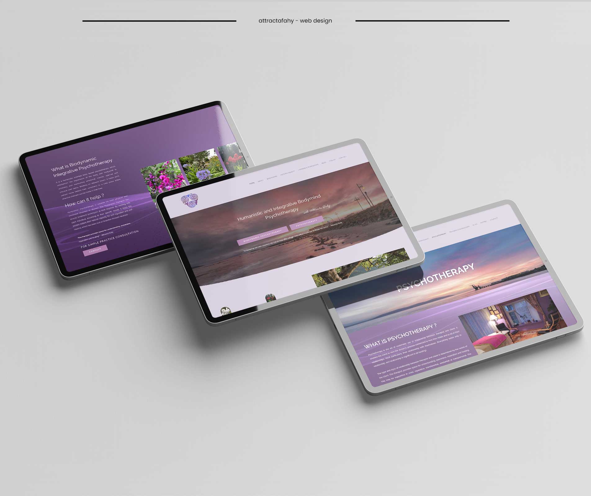 Attracta-Fahy-Website-01