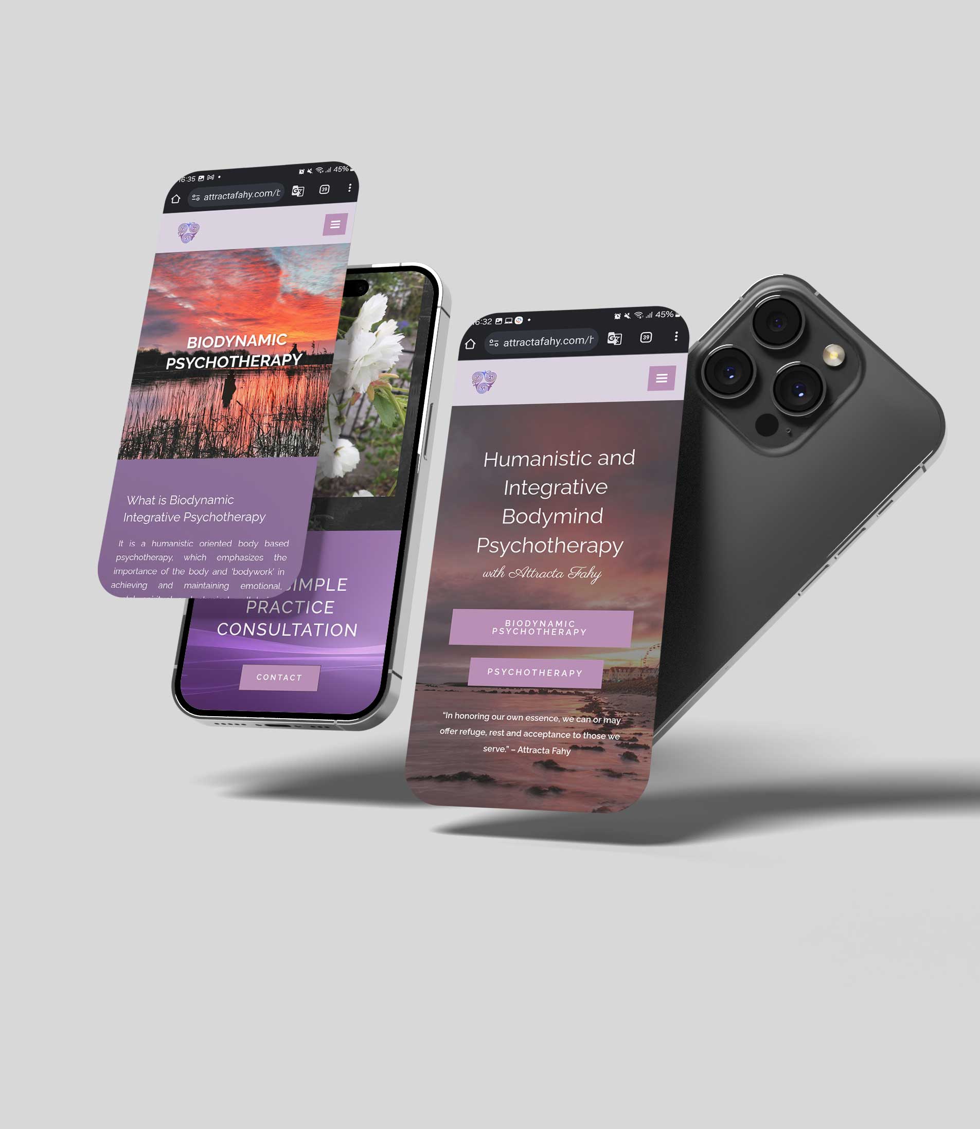 Attracta-Fahy-Website-02