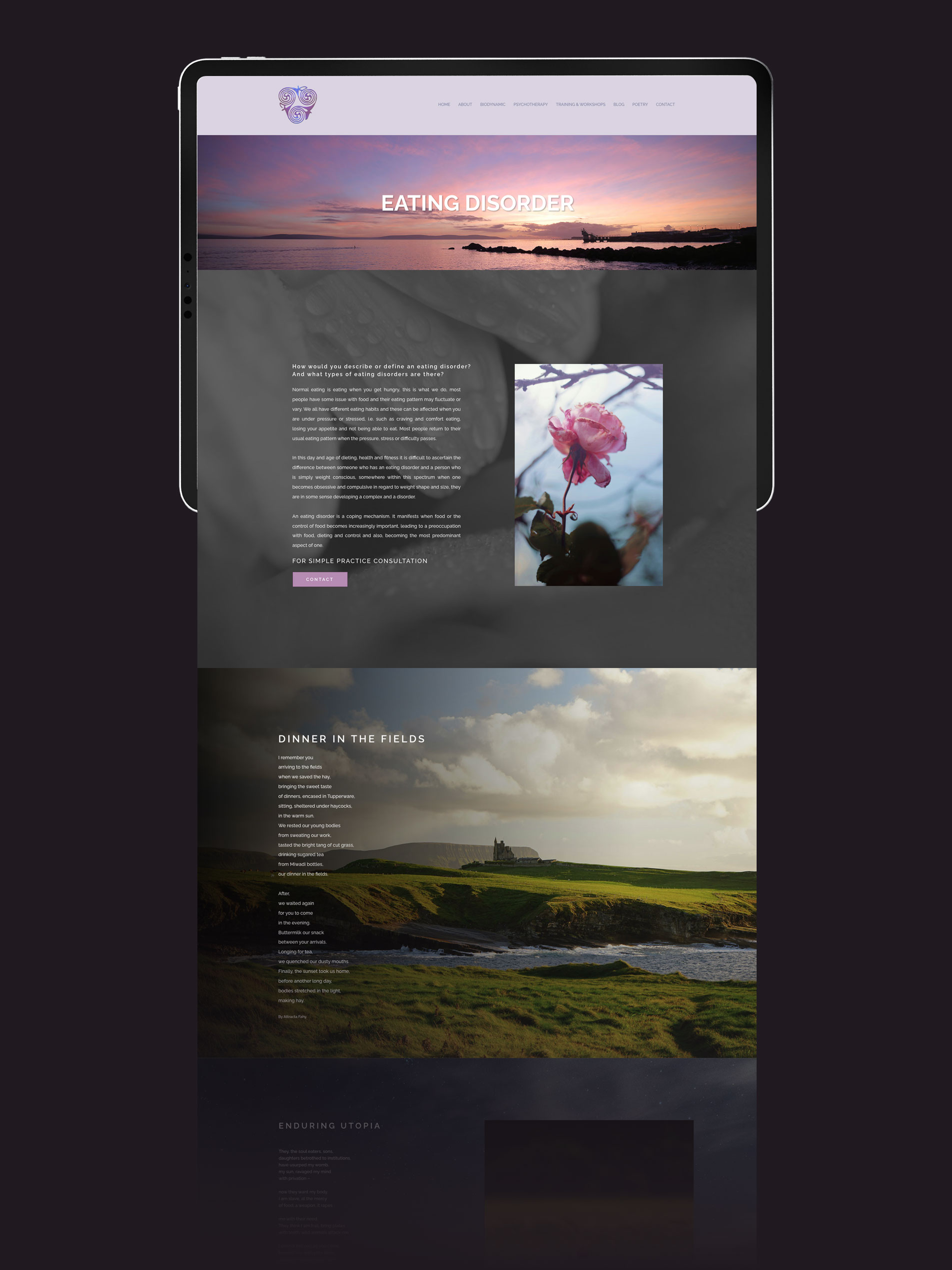 Attracta-Fahy-Website-03